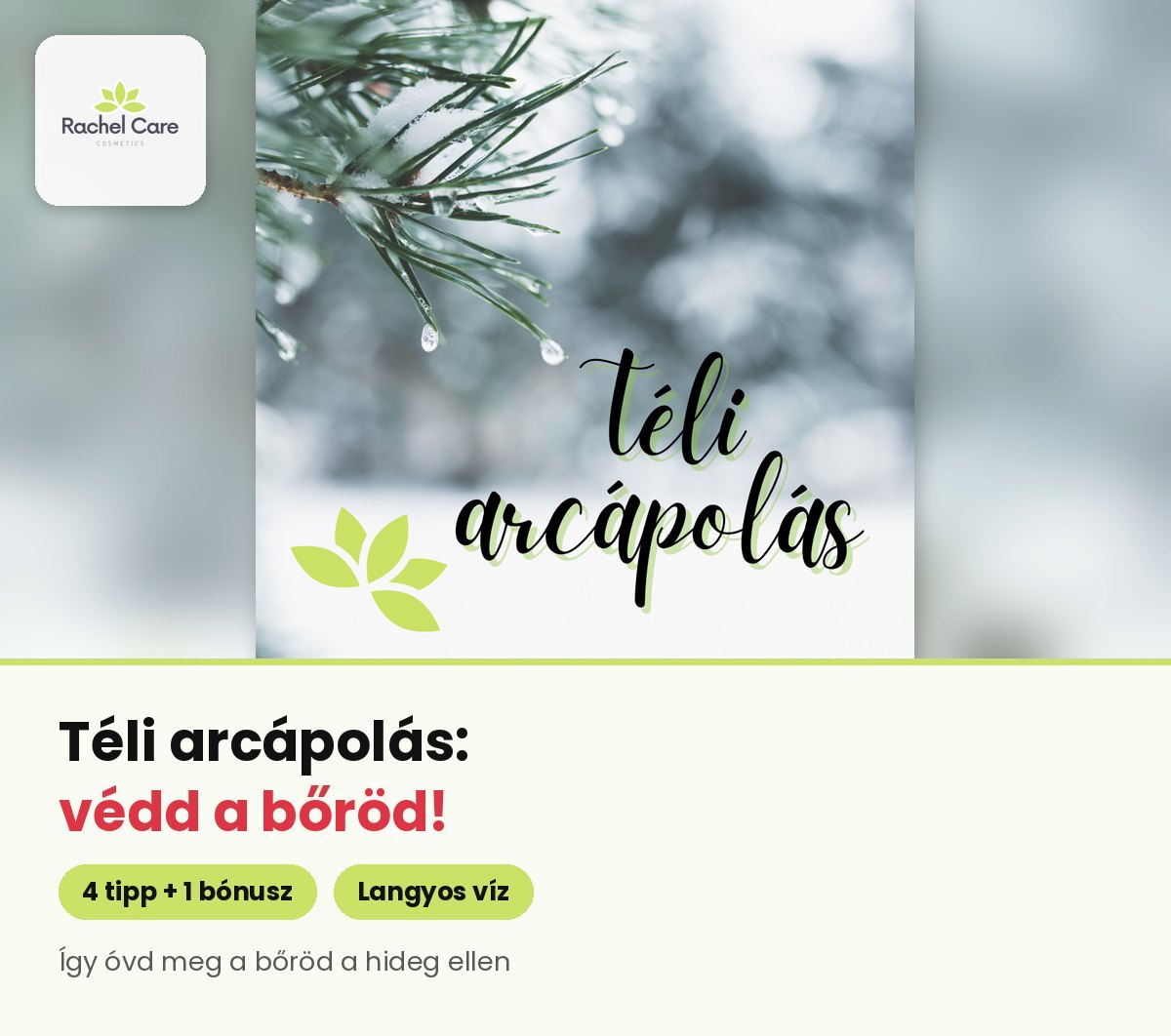 Havas, jeges fenyőág – téli arcápolás