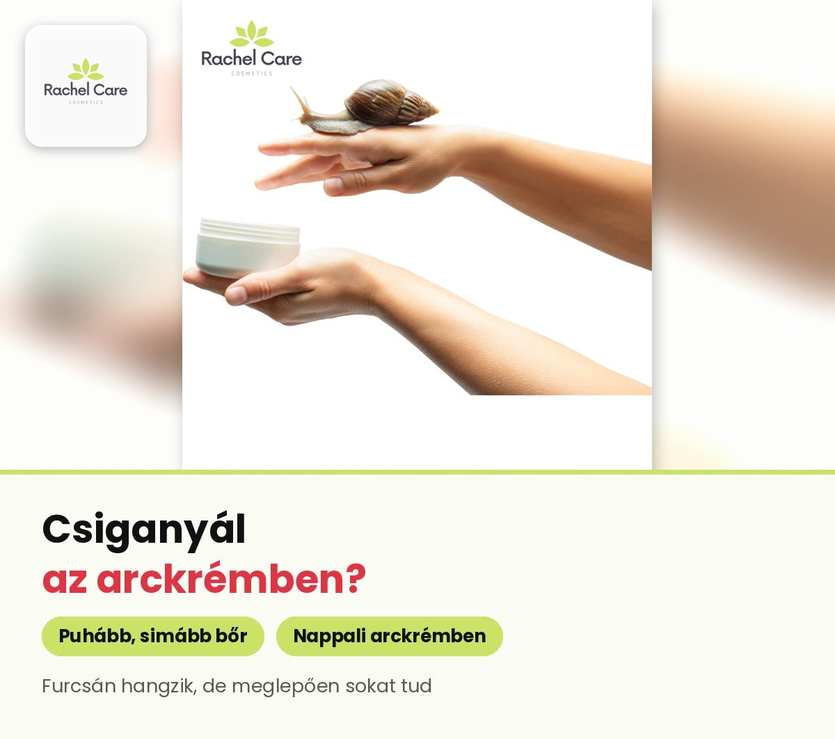 Csiga egy kézfejen, a másik kézben arckrémes tégely – csiganyál a bőrápolásban