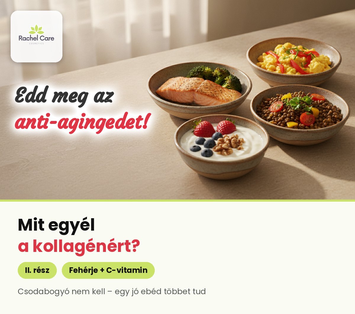 Négy kerámiatál napfényes konyhapulton: lazac brokkolival, tojás paprikával, lencse paradicsommal, joghurt eperrel